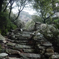 Photo de france - La randonnée du Mont Caroux